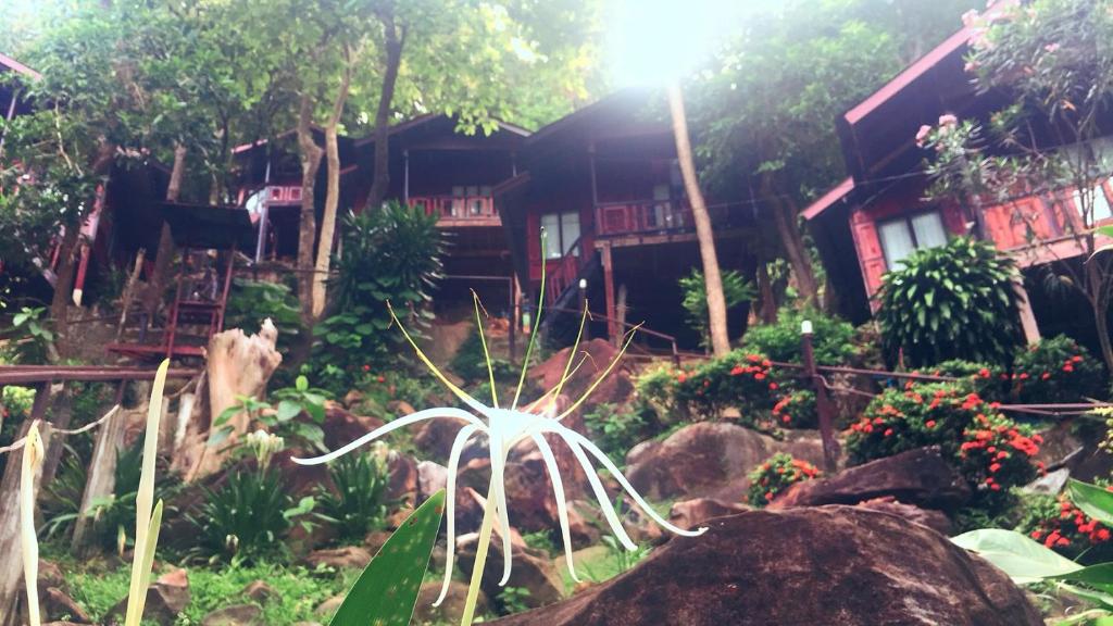 Phi Phi Green Hill Resort – Koh Phi Phi